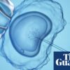 Woman makes Scottish legal bid to use late husband’s sperm